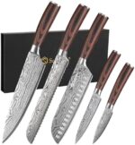 Sunnecko Kitchen Knife Set 5 Piece Chef Knife Set Professional High Carbon Stainless Steel