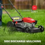 AMERISUN 21 Inch Gas Push Lawn Mower, 2-in-1 Mulching & Side Discharge - Image 2