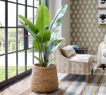 Faux Banana Leaf Tree
