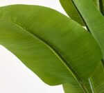 Faux Banana Leaf Tree - Image 3