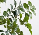Faux Green Leaf Tree - Image 5